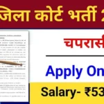 District Court Peon Vacancy 2024