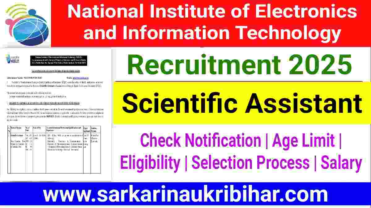 NIELIT Scientific Assistant Vacancy 2025